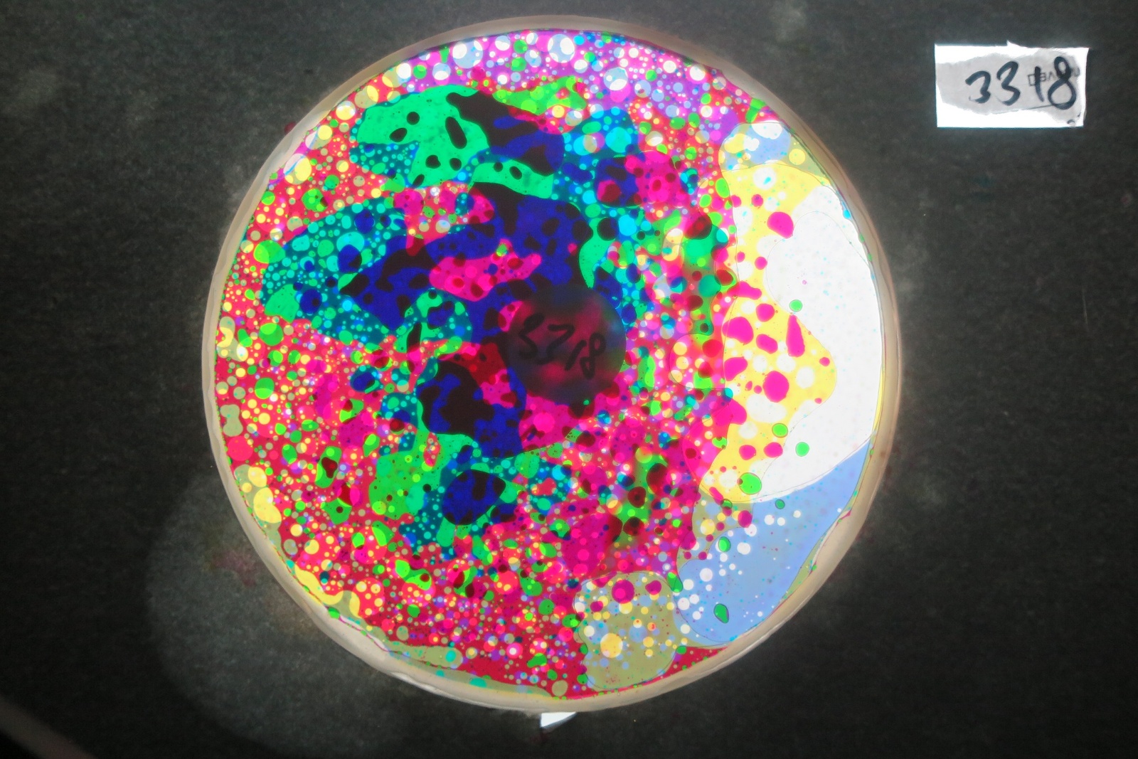 BV3318 bubble vision oil wheel